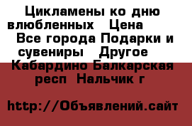 Цикламены ко дню влюбленных › Цена ­ 180 - Все города Подарки и сувениры » Другое   . Кабардино-Балкарская респ.,Нальчик г.